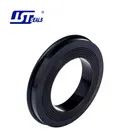 Oil Seal Spring Spring Design Seal Factory Price Non-standard Oil Field Seal Spring Proof Rubber Spring Seal