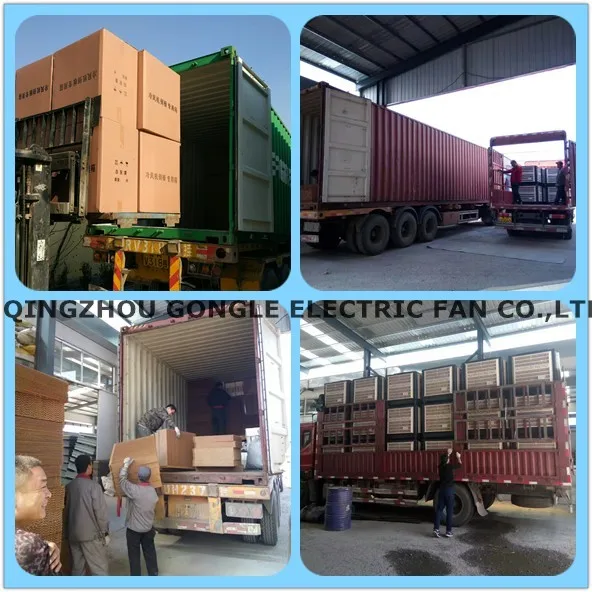 Calf Fan, 800mm, 1000mm, 1200mm - detail 26