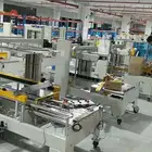 Semi Automatic Machine Semi Automatic Carton Seal Machine Gurkipack Semi Automatic Type Carton Side Sealing Machine