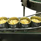 Canned Corn Canned Sweet Kernel Corn Fresh Corn