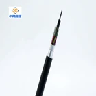 Digital Audio Optical Cable Digital Audio Toslink Fiber Optical Cable