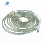 Led Light Led Strip High Voltage Smd 5050 Cool White 110 Volt Led Light Strip