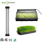 Vegetable Tray Japanese Chinese Vegetable Microgreens Mini Rose Flower Indoor Pots Plant Seeds Tray