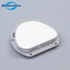 Disk Amann Girrbach Translucency Zirconia Ceramic Disk