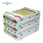 Pp Plastic Box Plasticpp Packaging Plastic Box Fruit Packing Corrugated PP Plastic Flute Box