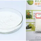 Price Cycloastragenol Best Price Cycloastragenol Powder Telomerase Activator USP Standards Large Stocks