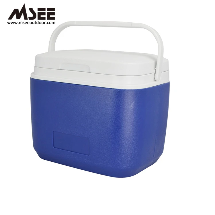 Dry Ice Styrofoam Cooler