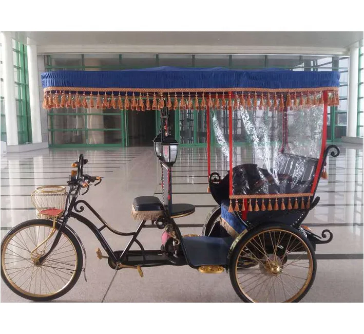 electric surrey bike for sale