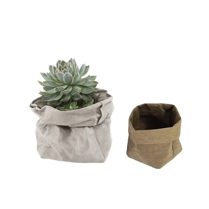 paper bolsa plant pot