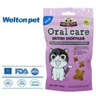 Specially Food Specially Designed New Product Cat Food