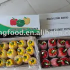 Sweet Pepper Sweet Fresh Sweet Pepper Chinese