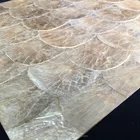 Mother Pearl Golden Capiz Mother Of Pearl Shell Tile