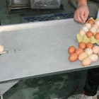 Washing 3000 Chicken Eggs Commercial Egg Cleaning Machine