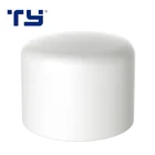 Top End China Factory Top Quality PVC-U DIN END CAP SOCKET