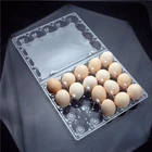 Eggs Pvc Pvc Pvc Blister Tray Custom-made Eggs Packaging Box Clamsell Packaging Black PVC Blister Tray
