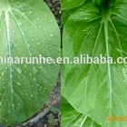 Pesticide Pesticide Additives Agricultural Silicone Spreading And Penetrating Agent Agricultural Silicone Surfactant RH-208 Pesticide Additive