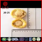 Abalone Abalone Canned Abalone 2015 Canned Seafood Products Seasoning Abalone Can 400g Solids:160g/14PCS