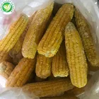 Corn Corn Chinese Frozen Type Iqf Sweet Corn For Sale