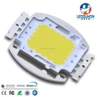 Led Led Bridgelux Chip SELL High Lumens White Color 100w Led With Bridgelux Chip