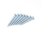 Brad Nails Customized Small Package Zinc Plate Steel Brad Hole Nail Common Nail