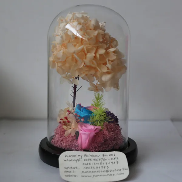 Margrethe Larsen Venus Et Fleur Flowers Real Image De Fleur Venus La Fleur Roses / Venus et