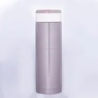 Vacuum Tea Vacuum Flask Hot Selling Double Wall 304 Stainless Steel Thermos Vacuum Flask With Tea Infuser