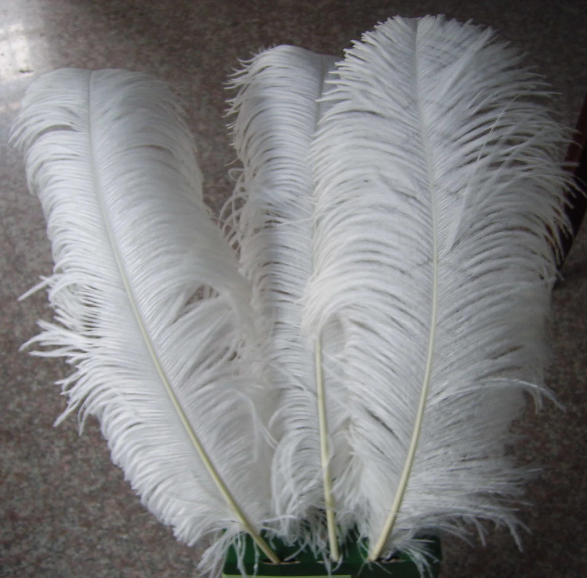 large white ostrich feathers bulk