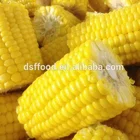 Yellow Corn Yellowcorn Corn IQF Frozen Sweet Yellow Corn Cut