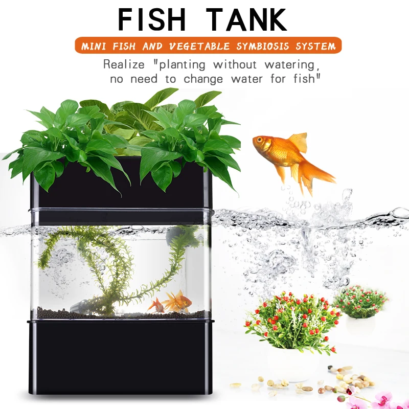 hydroponic fish bowl