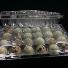 Egg Tray Egg Quail Eggs 12 Holes Quail Egg Tray 30 Holes Quail Egg Tray