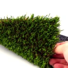 Grass Family Grass Artificial Landscaping Artificial Grass For Family Using