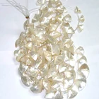 Mother Pearl Gemstone Mother Of Pearl Sector Jewelry Raw Sea Shells Mop
