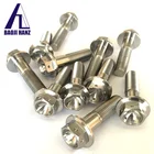 Titanium Bolt Titanium Titanium High Strength Custom M8 Hex GR5 Ti-6al-4v Titanium Fasteners Titanium Flange Bolt
