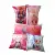 mini anime/cartoon custom plush pillow