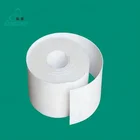 Sheet PTFE Skived Sheet In Roll