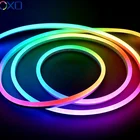 Rgb Led Strip Led Colorful Led Light Strip Dome Surface WS2811 WS2812B SPI RGB Colorful Light Addressable Neon Led Strip