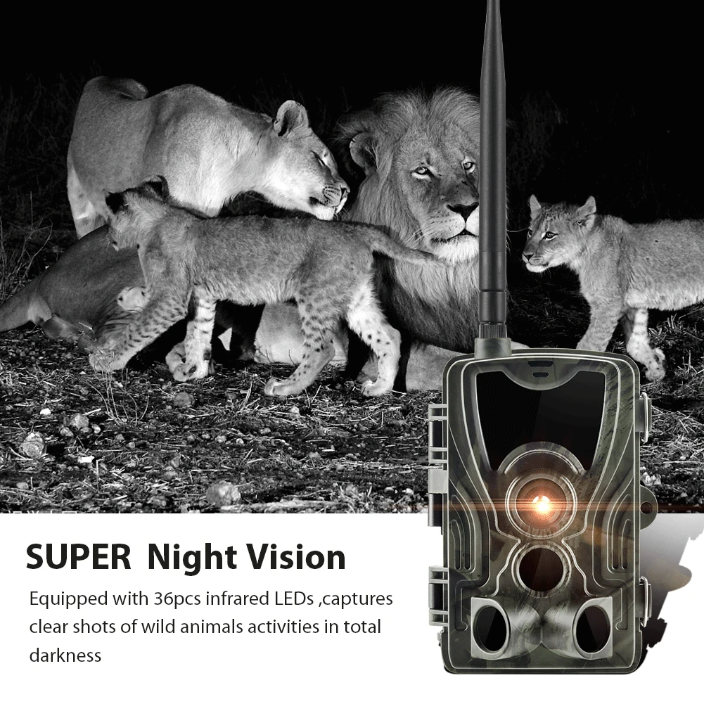 night video camera wildlife