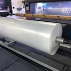 Blown Film 5 Layers Co-extrusion Blown Film Machine For Self-adhesive Protective Film