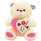 Bear Stuffed Plush Customized Your Sepcial Gifts Stuffed Teddy Bear Valentine Plush Toys