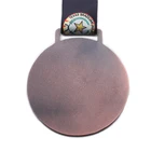 Texas The Medals 2021 New Arrivals Oem Gold Silver Bronze Star 3D Texas Brazilian Jiu-jitsu Federation Medal