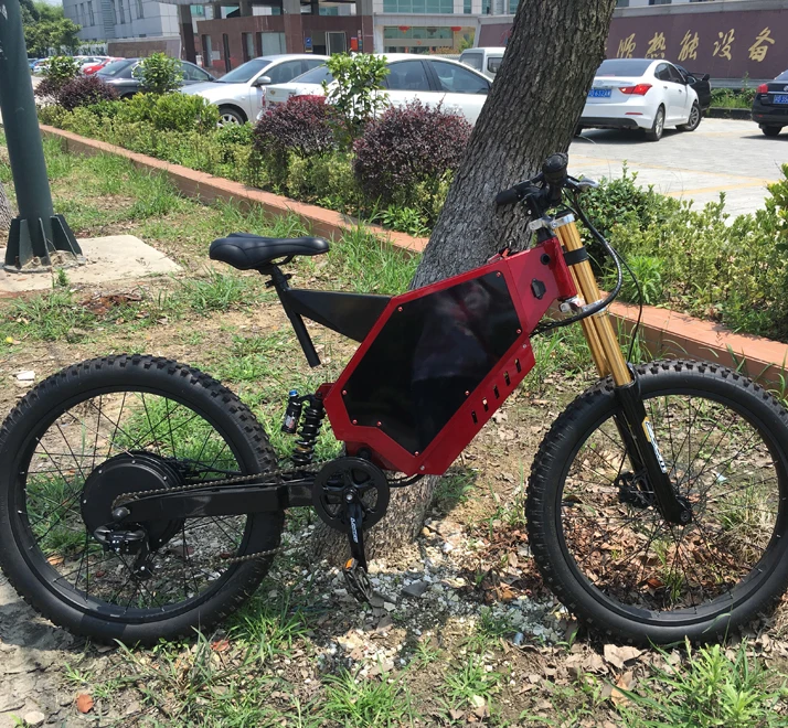 2022 Electric Bicycle China Steal 