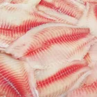 Fillet Tilapia Tilapia Fish Buyer Machine Take Fillet Tilapia Frozen Tilapia Fillet Fish Price