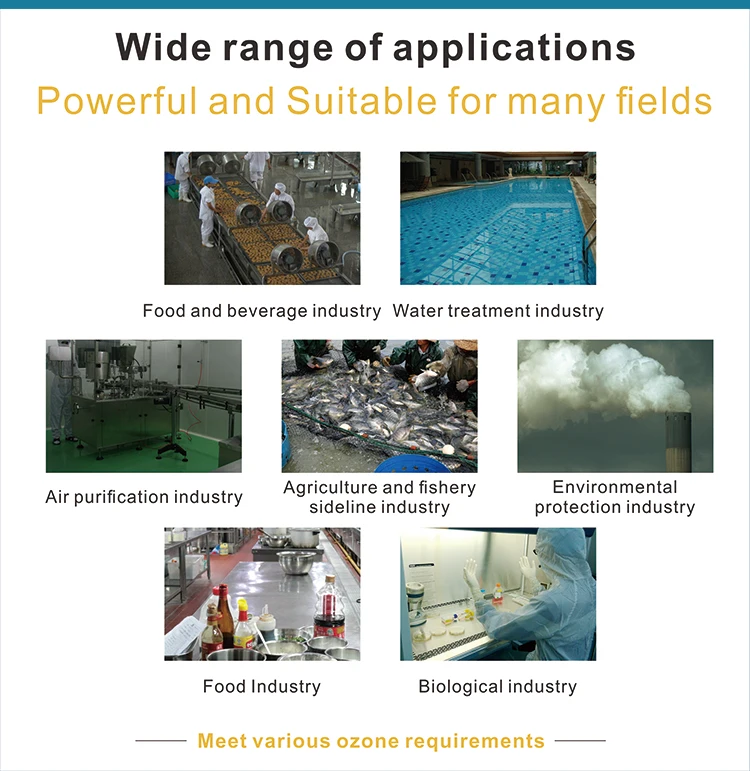 100g/h Ozone generator water treatment systems 10