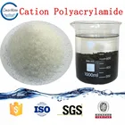 Pam Price Hot Sale Indonesia Market Detergent Raw Materials Cationic Polymer Powder PAM Price Per Ton CPAM