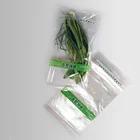 Opp Bag Recyclable Best Quality Self-sealing Clear OPP Packaging Bag For Vegetable