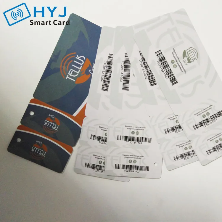 0.76mm plastic loyalty snap off member card with key tags