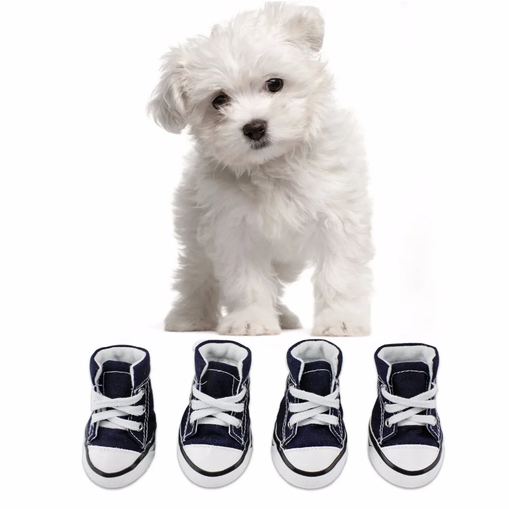 Dog Shoes,Converse Dog Shoes 