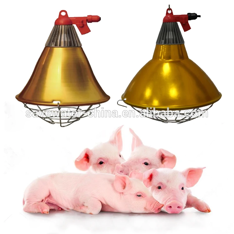 energy efficient basking lamp