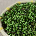 Green Pepper Trending New Product Chinese Supplier Natural Organic Green Szechuan Pepper