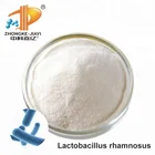 Nutritional Probiotic Lactobacillus GMP Certificated Probiotics Powder Nutritional Lactobacillus Casei